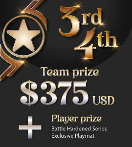 3rd Place Prize