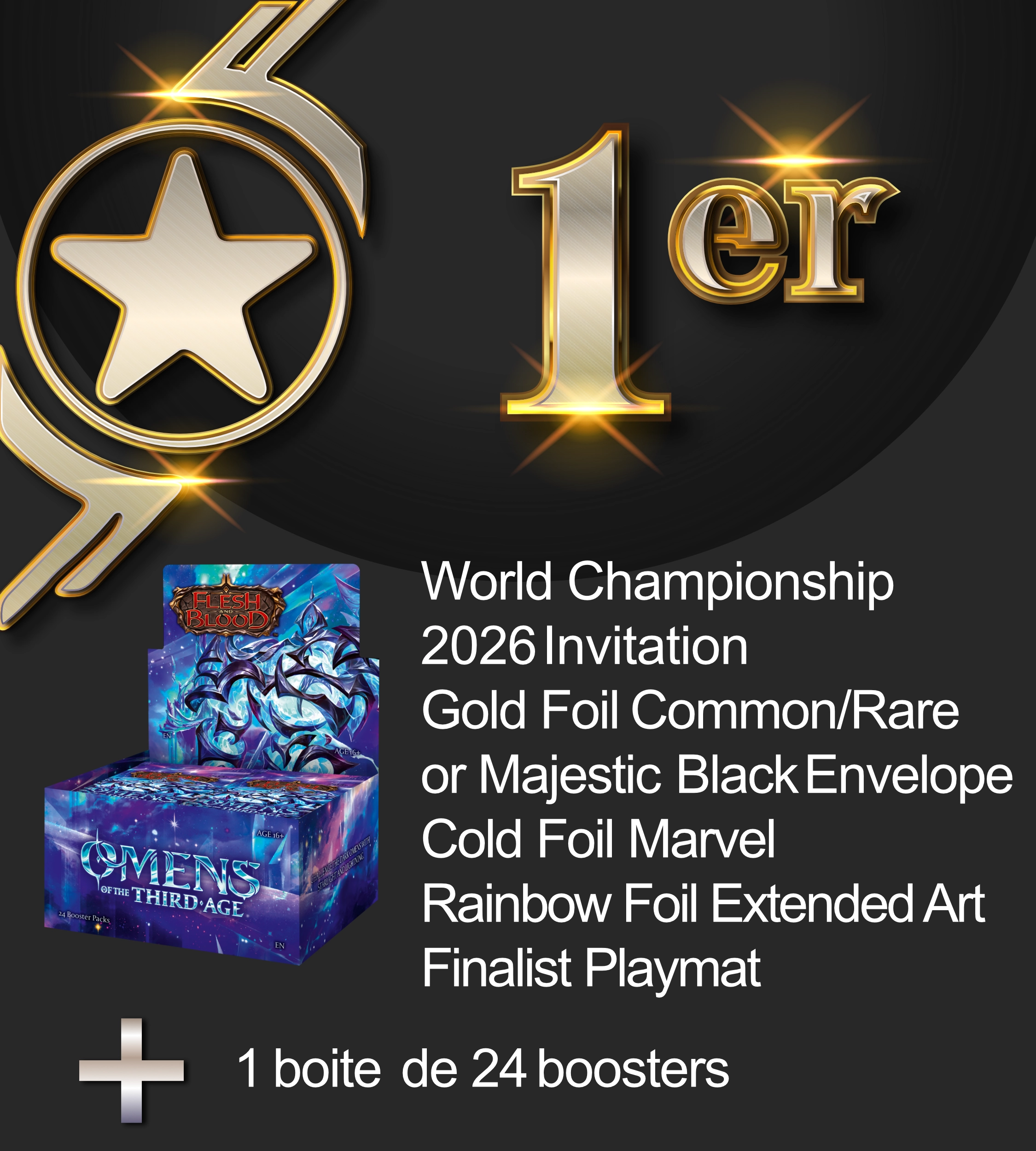 1st Place Prize