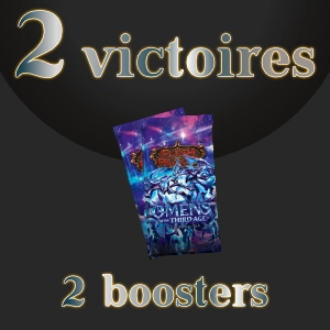 3rd Place Prize