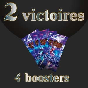 3rd Place Prize