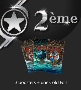 2nd Place Prize
