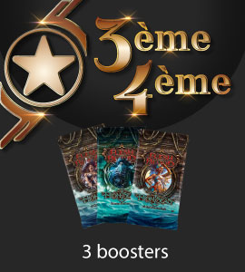 3rd Place Prize